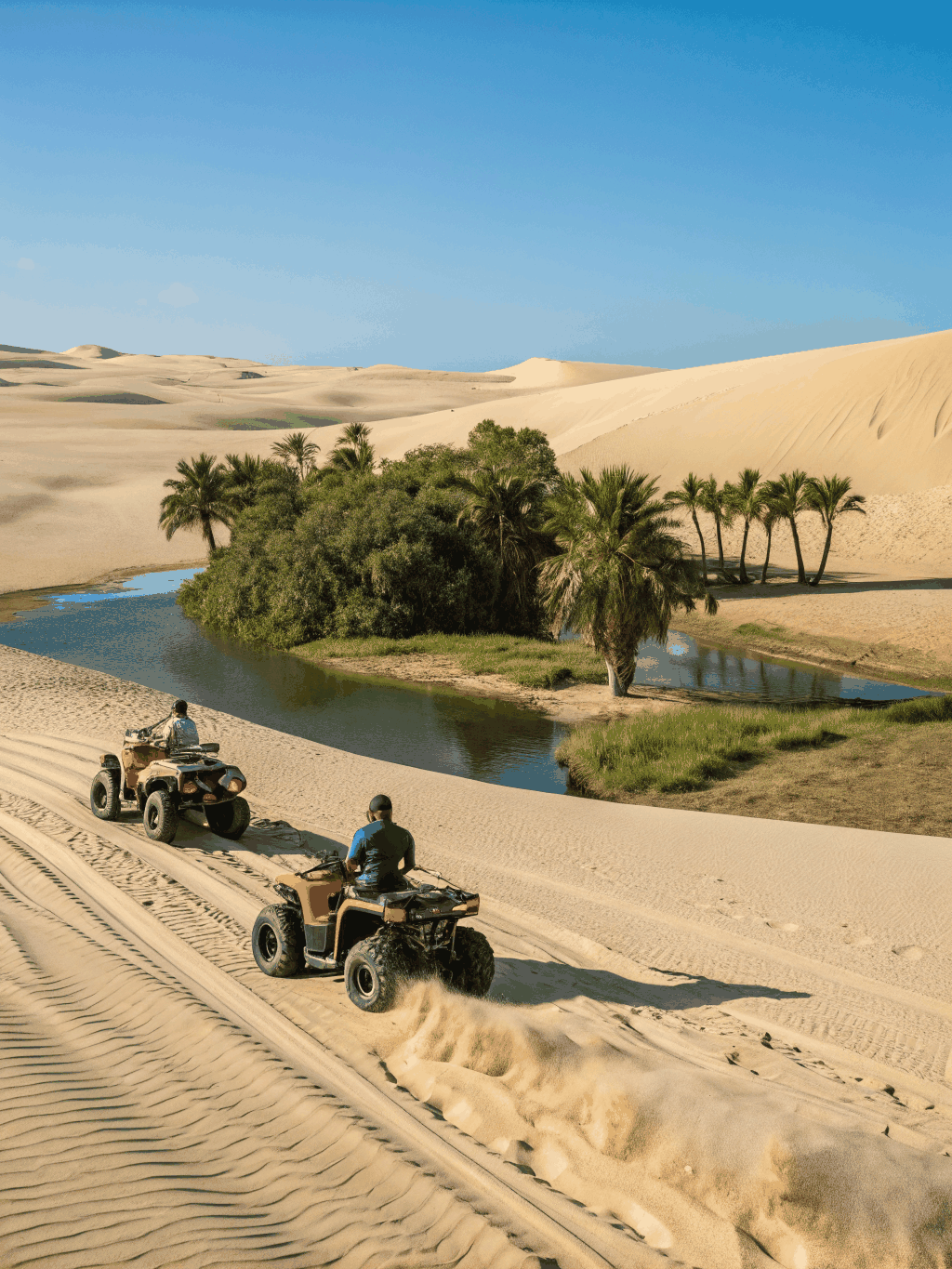 Quad bikes touring golden desert dunes during sunset