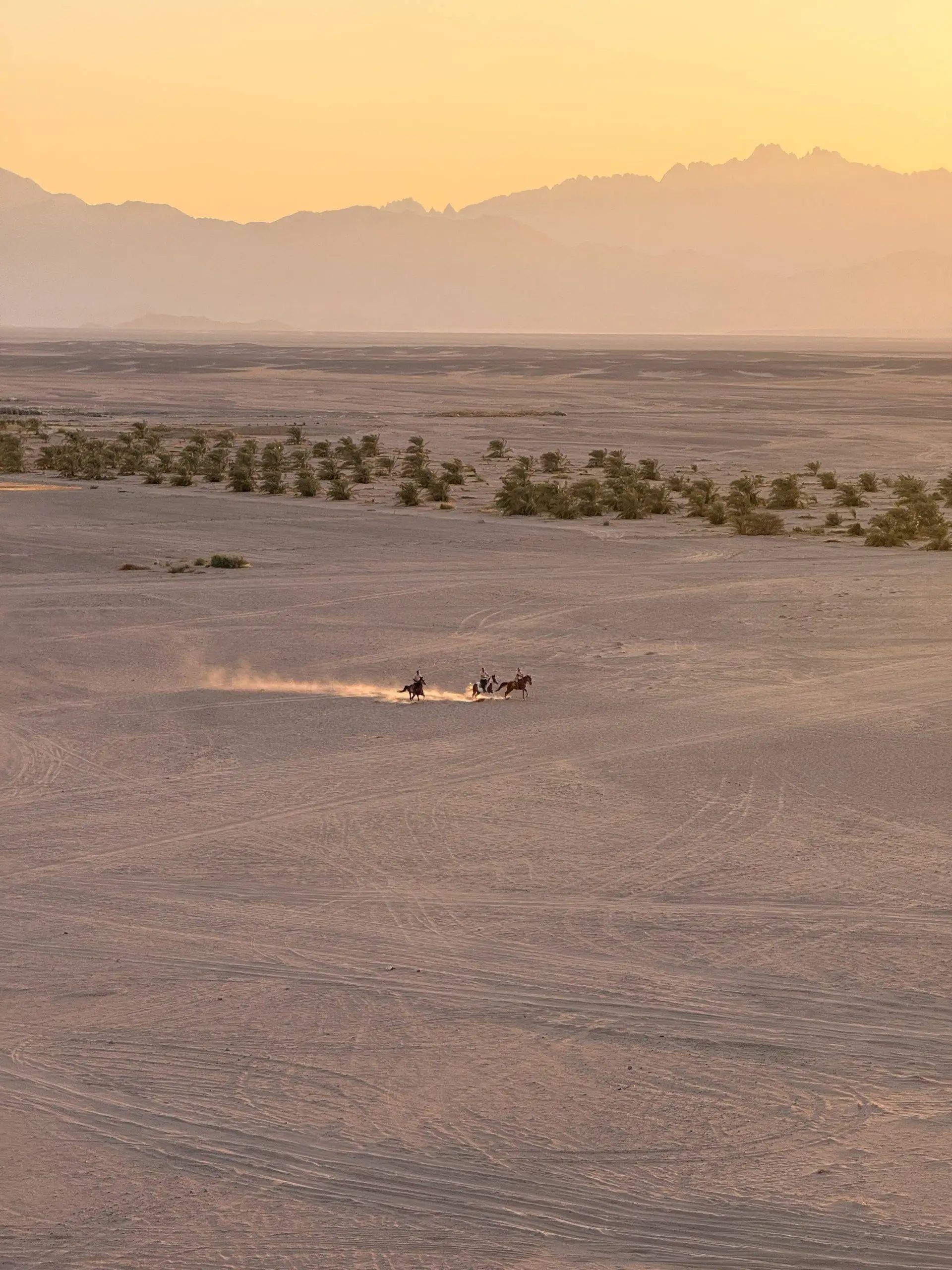 Three people ride horses across a vast, dusty desert landscape with a line of green shrubs, distant mountains and a warm golden-orange sunset sky
