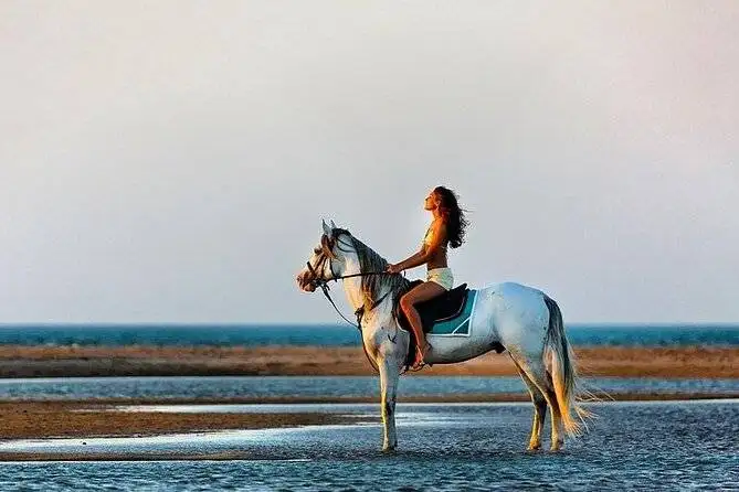 Young woman in swimwear sitting astride a white horse in shallow coastal water at a beach during golden hour