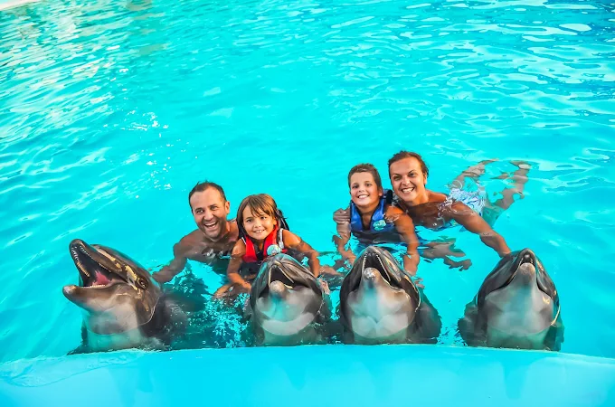Smiling family of four swimming in turquoise water alongside four bottlenose dolphins in a pool